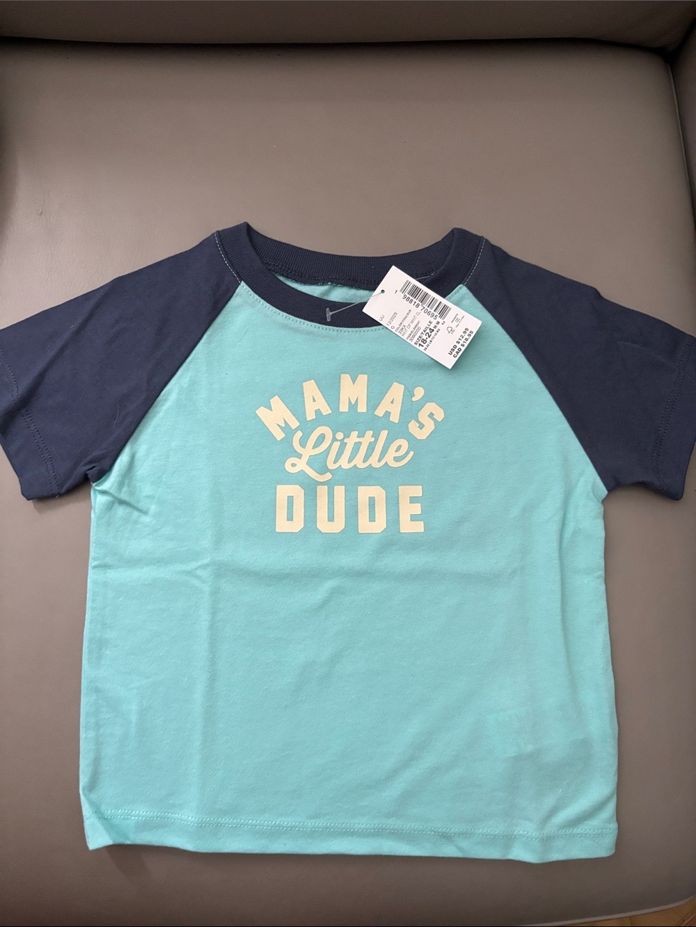 The Children's Place Light Teal & Navy Raglan Tee with Cream Text